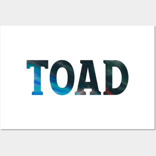 Toad - Psychedelic Style Posters and Art